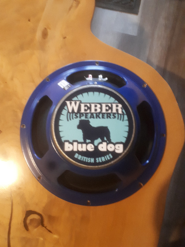 Weber Blue Dog dans Amplificateurs et pédales  à Edmundston