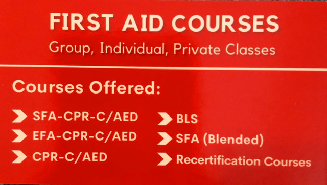 First Aid & CPR Training in Classes & Lessons in Mississauga / Peel Region - Image 2