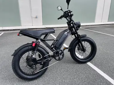 1000W (2000W Peak) 48v 20AH Fat Tire EBike Jasion YR20, View more