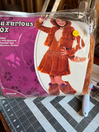 Girls fox costume