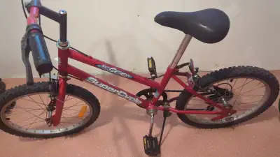 SC500 SuperCycle Kids Bicycle, View more