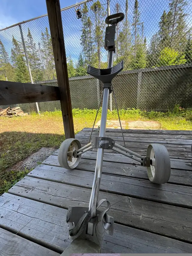 Golf Puch Carts in Golf in Muskoka - Image 3