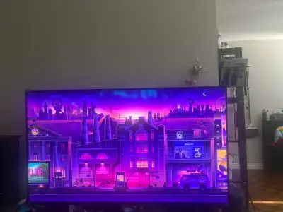 55 inch Roku/TCL TV, View more