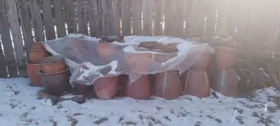 Sets of pots each consisting of 5 pots from large to small. Strong and durable. Also odd ones availa...