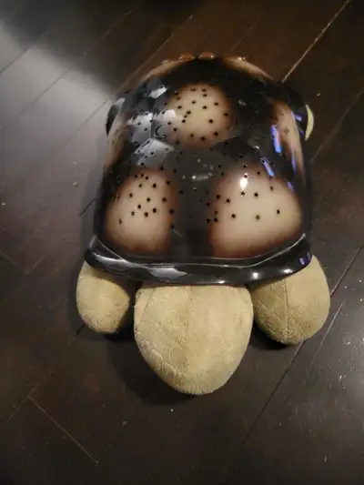 Cloud b turtle needs batteries