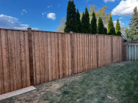 Fence and Decks