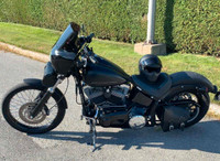 2012 Harley davidson softail blackline 