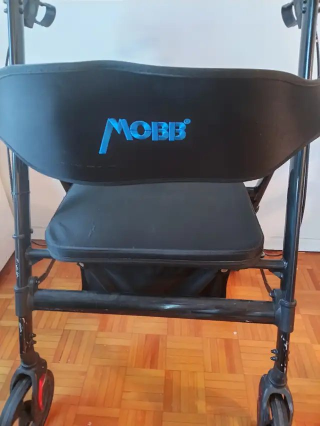 Reduced Mobility or Disability603676034100121607