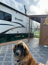 RV on Blue Trail Lot for Sale
