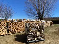 Campfire Wood (Firewood)