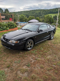 Mustang coupé 1995
