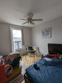 Whole Apartment available for Summer!