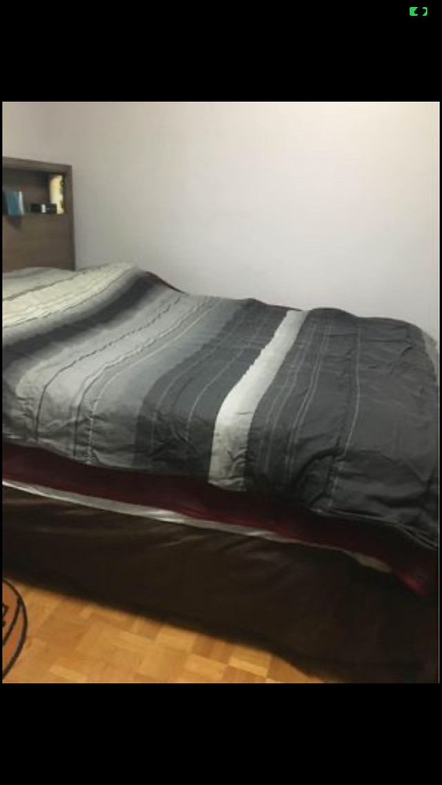 Comforter brand new saize queen & king & double each$ 60-$40 for in Bedding in Windsor Region