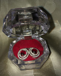 New Ruby Red Earrings 