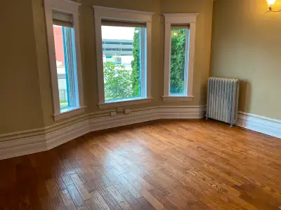 Tastefully, fully recently renovated beautiful two bedroom apartment in historic home. Living room p...