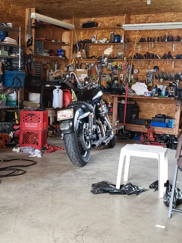2006 Harley-Davidson sportster  low km in Street, Cruisers & Choppers in Saint John - Image 8