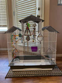 Bird cage with accessories 