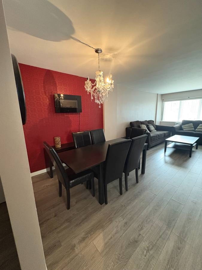 Gorgeous fully furnished one bedroom condo for rent in Winnipeg 4