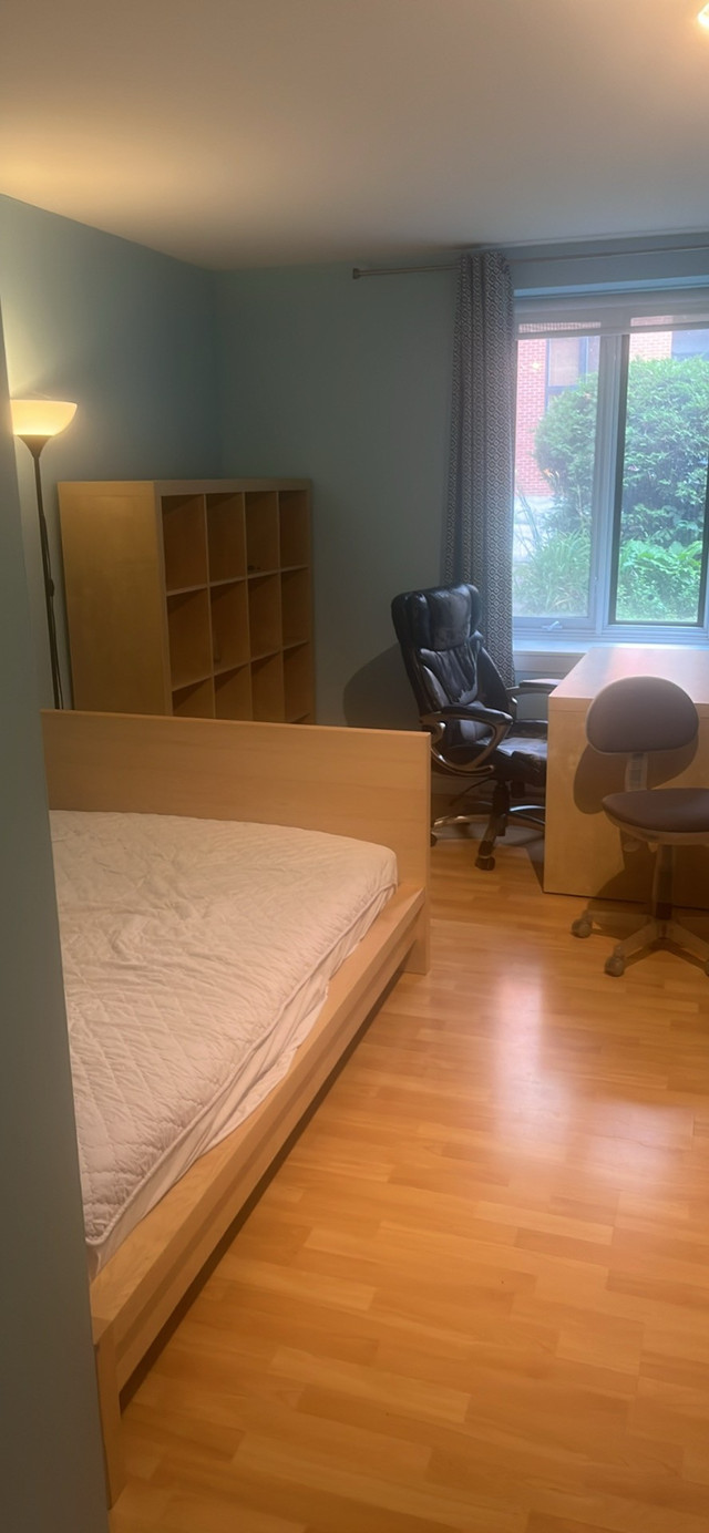 1 of 3 bed rooms roommate 750 cad/month dans Chambres à louer et colocs  à Ville de Montréal