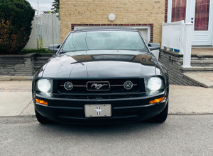 2008 Ford Mustang