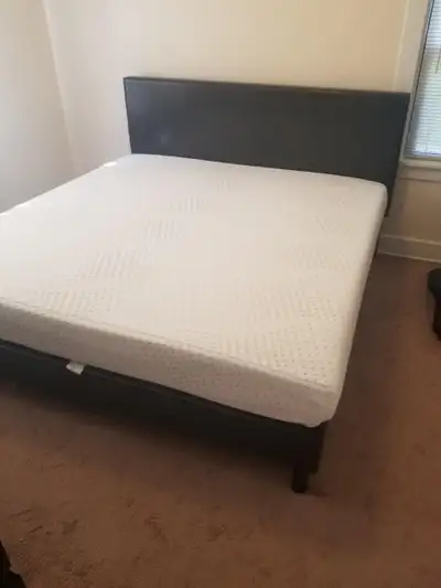 Modern Platform Bed — Never Used, View more
