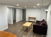 Bright, modern, newly renovated 1 Bedroom Basement Suite!