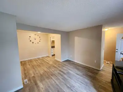 For Rent !!, View more