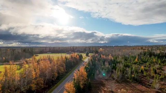 27.8 Acres For Sale Guernsey Cove Road PEI62864753614467124