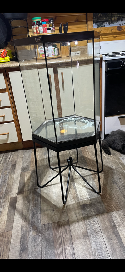 Hexagonal Aquarium With Stand, View more