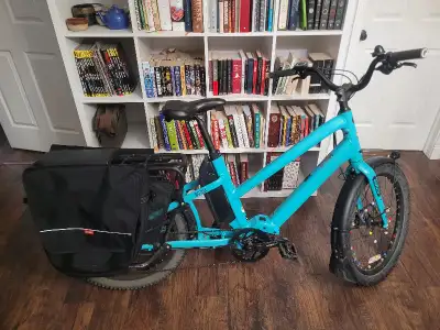 Why give up and drive a minivan when you can enjoy life on a cargo bike? Benno Boost 10D CX 500 Purc...