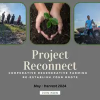 Project Reconnect Community Regenerative farming 