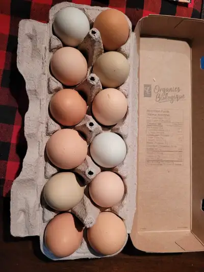 Fresh farm eggs for sale, located just south of Westlock! $6 a dozen or $9 for 1.5 dozen packs.