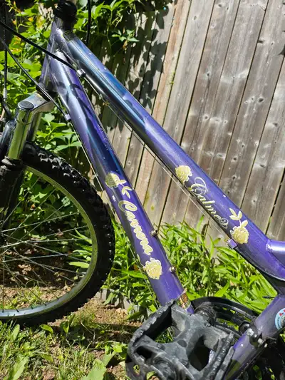 Girls 24" 21 speed  Mountain bike, View more