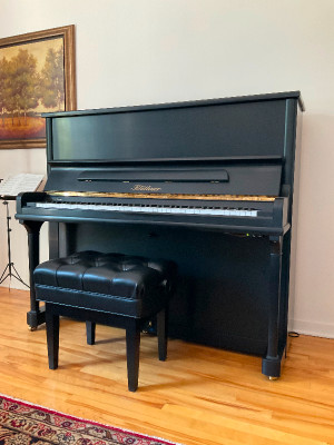 Banc De Piano | Kijiji à Grand Montréal : acheter et vendre sur le site de  petites annonces no 1 au Canada.