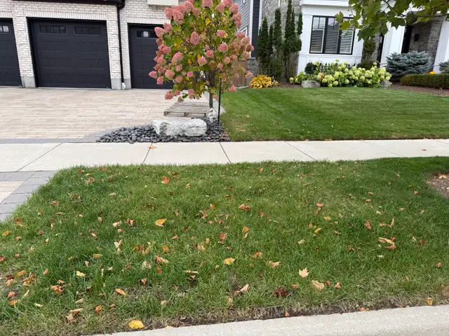  FALL YARD CLEANUP SERVICES 594162952879493121