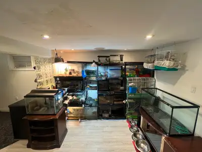 animal sanctuary, View more