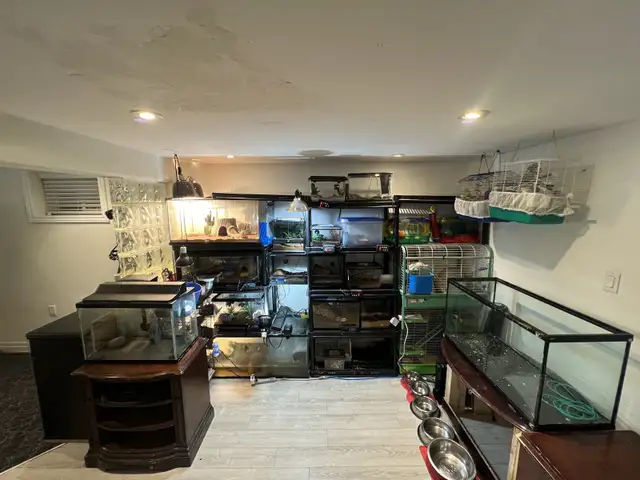 animal sanctuary in Animal & Pet Services in Markham / York Region - Image 2