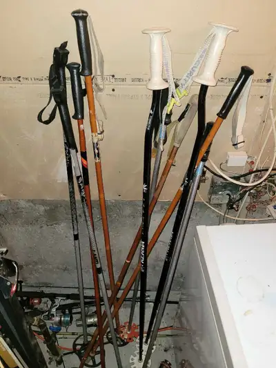 cross-country skis, View more
