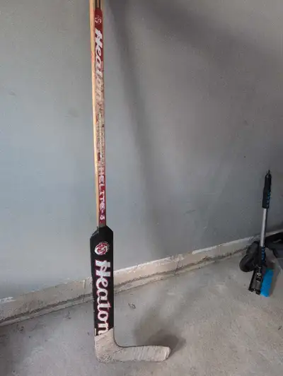 Goalie stick, View more