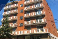 1BR RENOVATED apartment near McMaster (Westdale). $1549