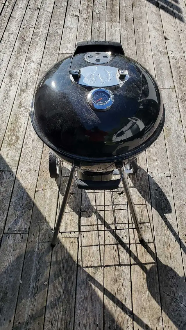 BBQ NAPOLEON596426909748439041