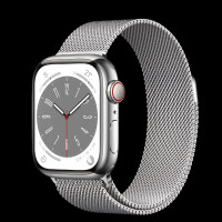 Apple watch series 4 44mm silver stainless steel 