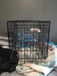 Pet kennel/cage 