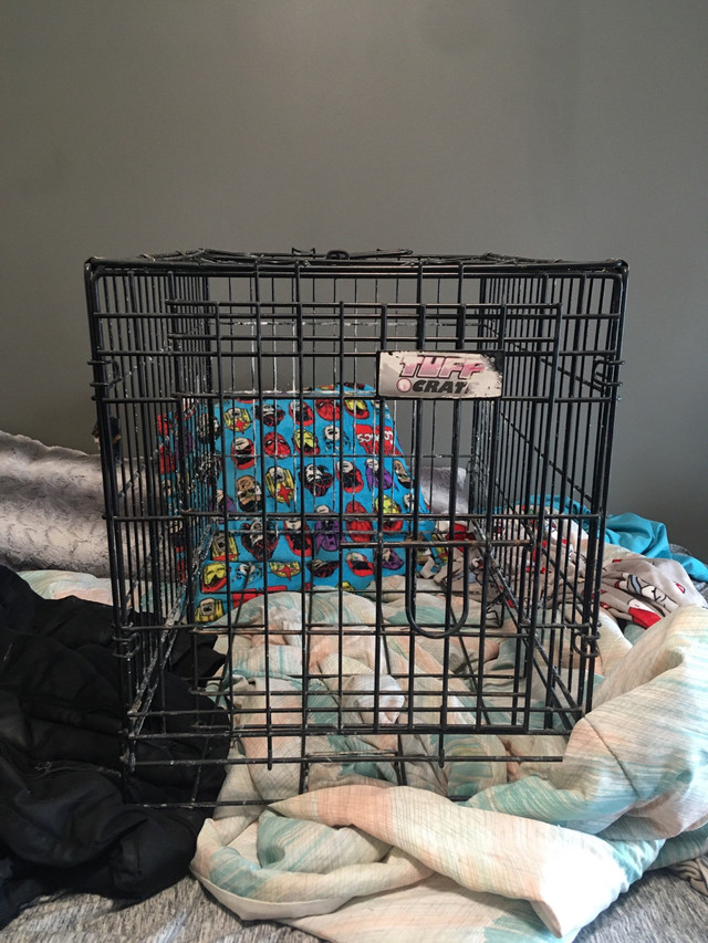 Pet kennel/cage  in Accessories in Kitchener / Waterloo