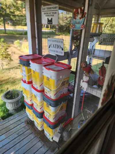 free buckets, View more