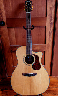 Cort Gold A6 Acoustic Guitar