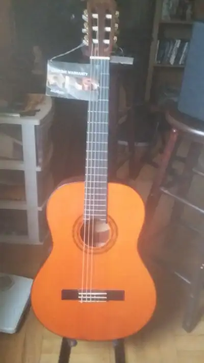 Washburn Classical Guitar, View more