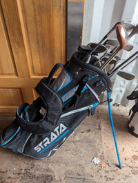 2 used golf bags