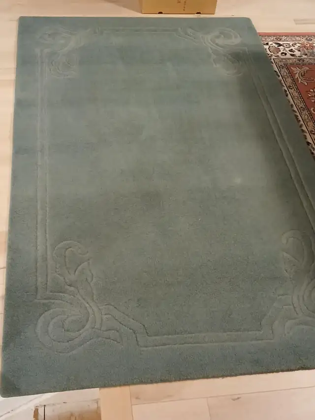 Green Area Rug in Rugs, Carpets & Runners in Ottawa - Image 3
