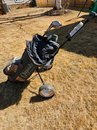 Wilson golf clubs, bag and cart